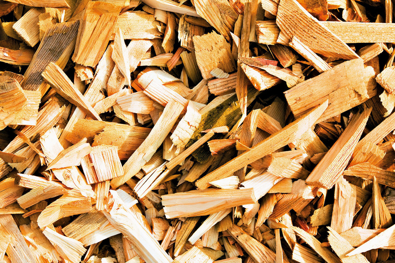 Wood used for biofuel