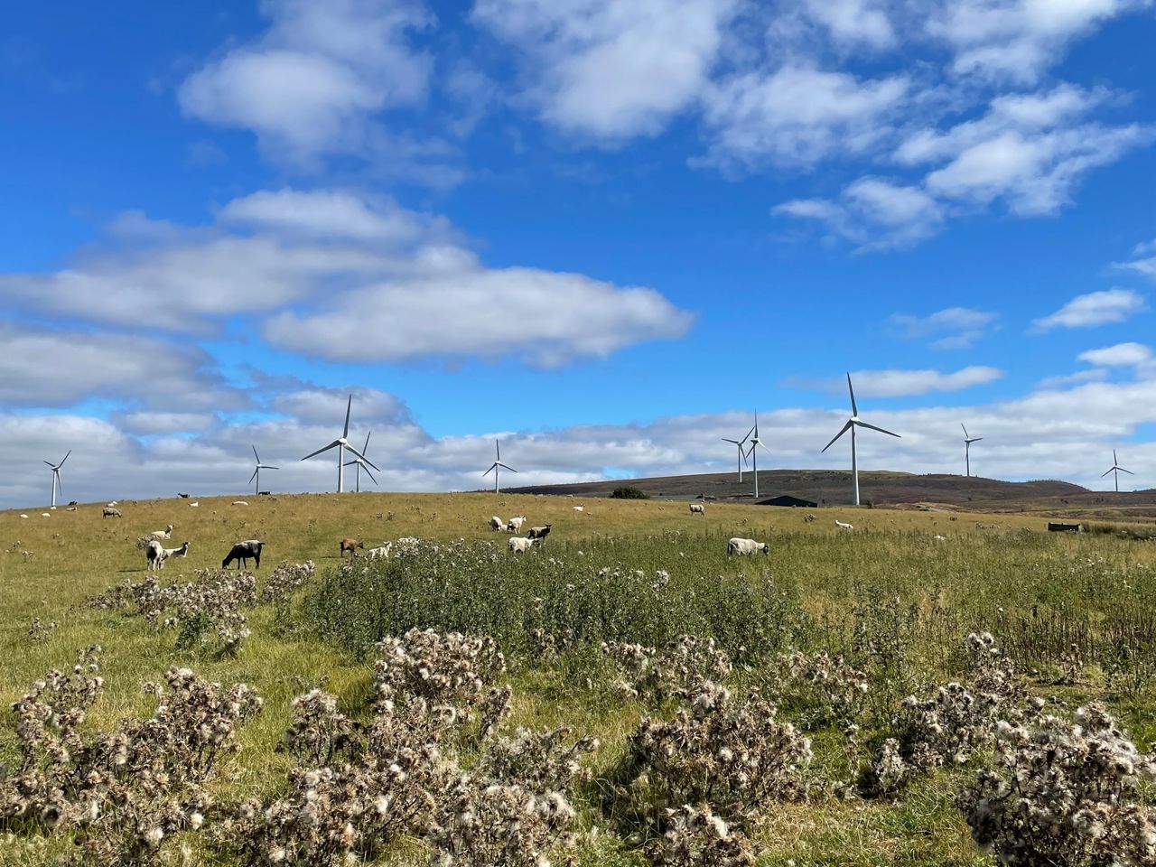 Wind turbine in nature