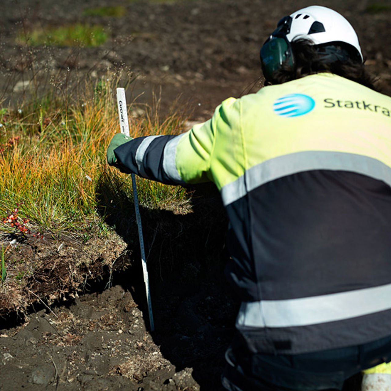 Measurement of peat depth